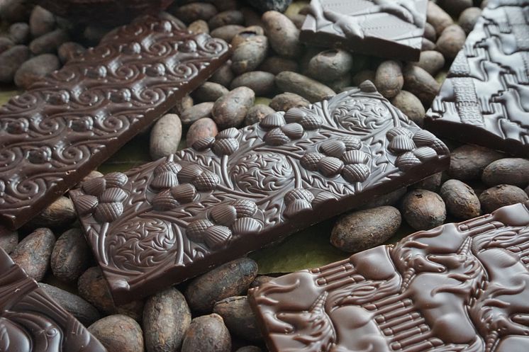 Choklad-ChocolateTree-ekologisk-Beantobar-Porcellana-Beriksson3
