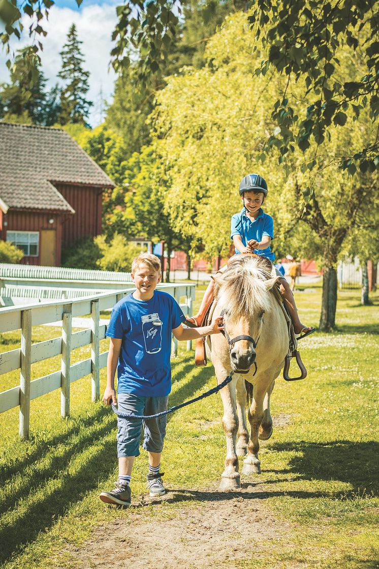 Barnas Bondegård på Hadeland Glassverk