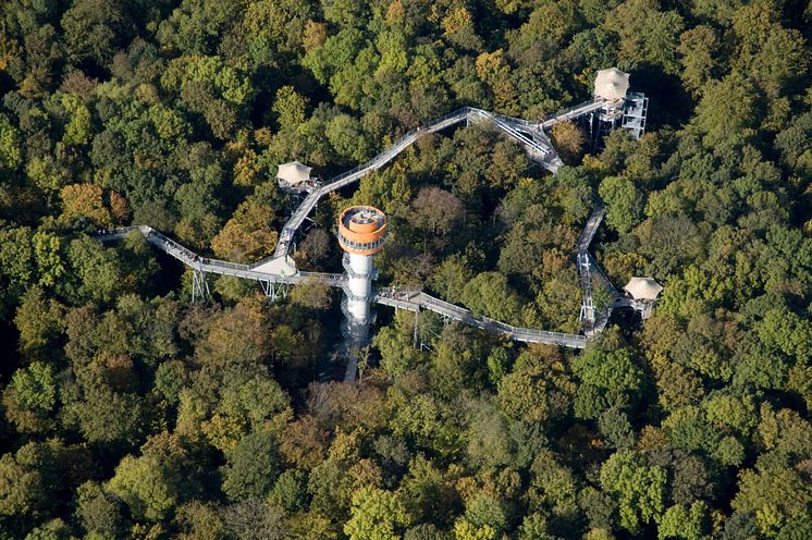 Schönstedt: Trætopstien i Nationalpark Hainich i Thüringen 