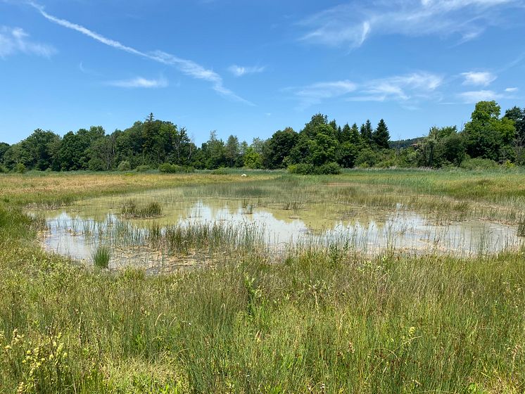 Lernende der Gartenbauschule Hünibach im Einsatz im Naturschutzgebiet