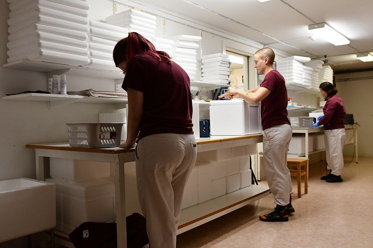 Packning_fotograf Jenny Elsmark.jpg