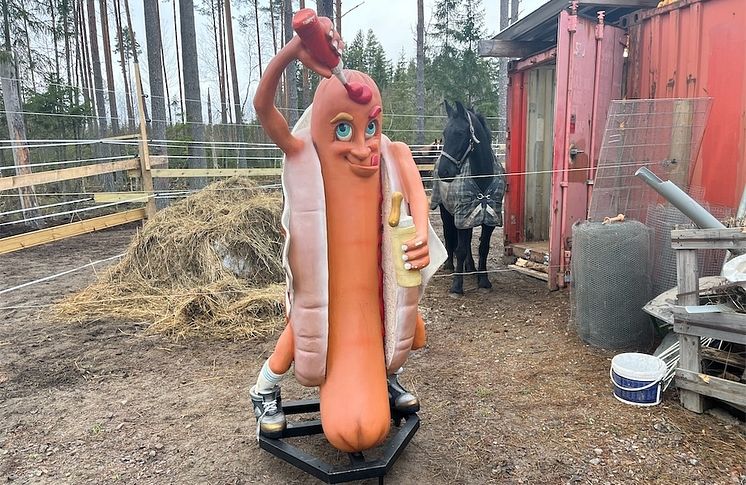 258_Aretssnackis.jpg