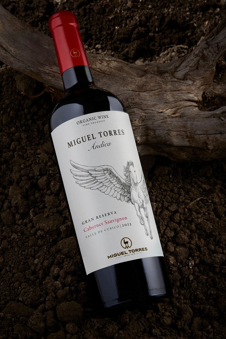 Miguel_Torres_Andica_Cabernet_Sauvignon_Nordico 1.jpg