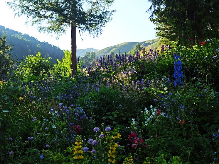 ST_Botanical-Garden-Alpinum-Schatzalp_c_Berghotel_Schatzalp_AG