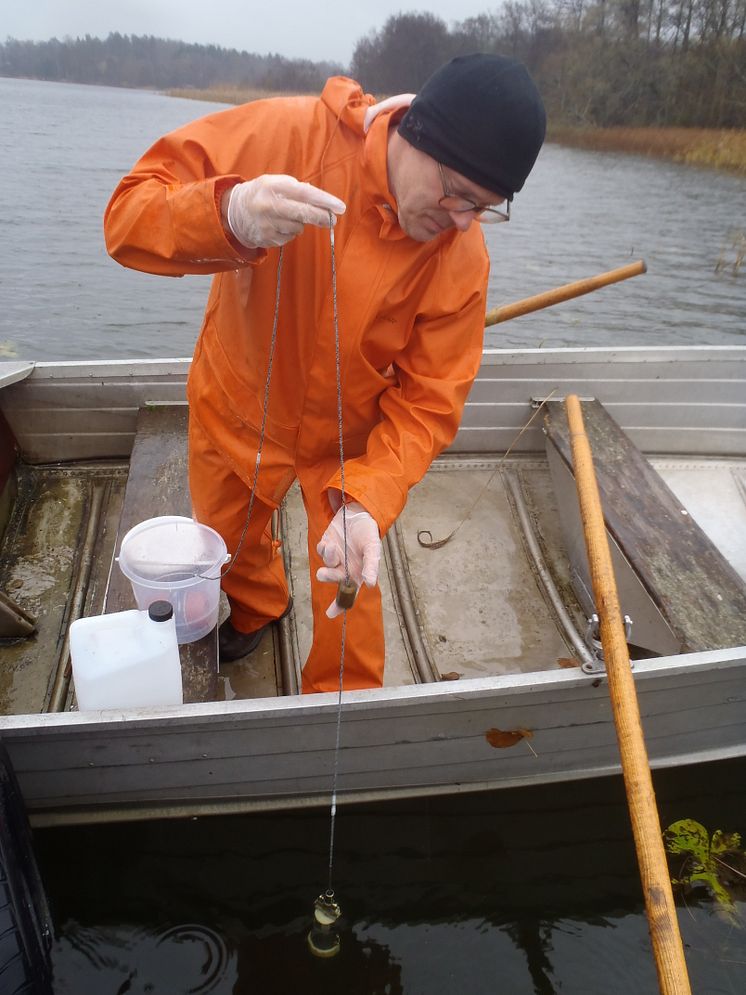 E-dna-provtagning i Mälaren. På bilden syns Patrik Bohman, institutionen för akvatiska resurser, SLU.