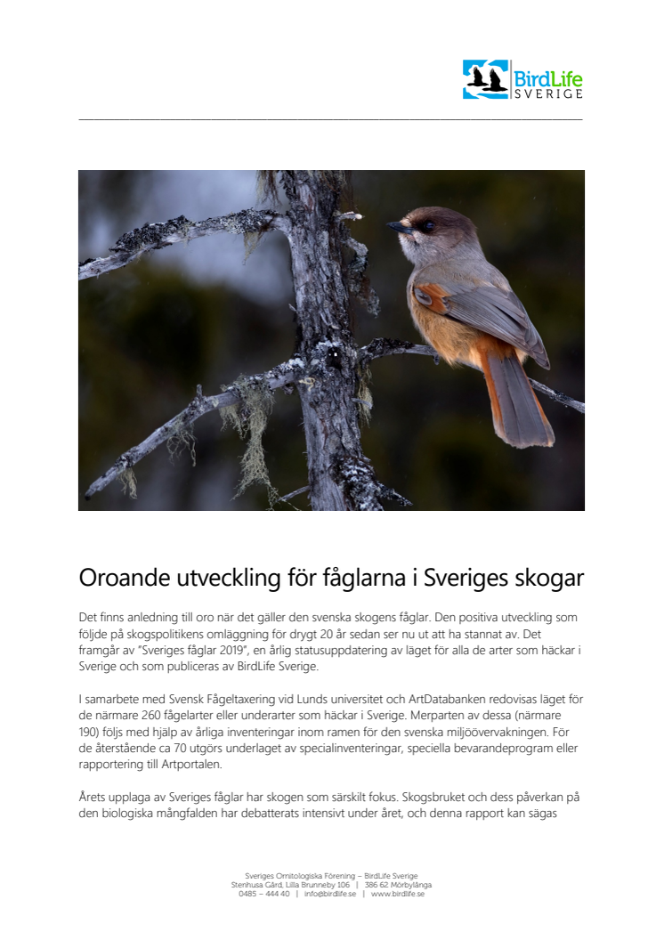 Oroande utveckling för fåglarna i Sveriges skogar