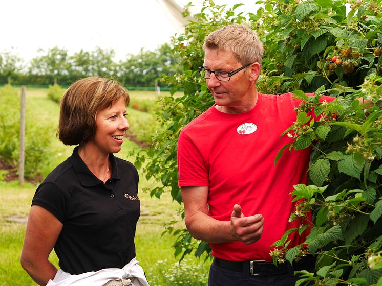  Viktoria Bassani och Johan Biärsjö diskuterar pollineringssamarbete och nya läskydd. Foto: Anna Lind Lewin.