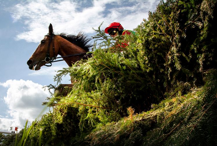 Svenskt Grand National