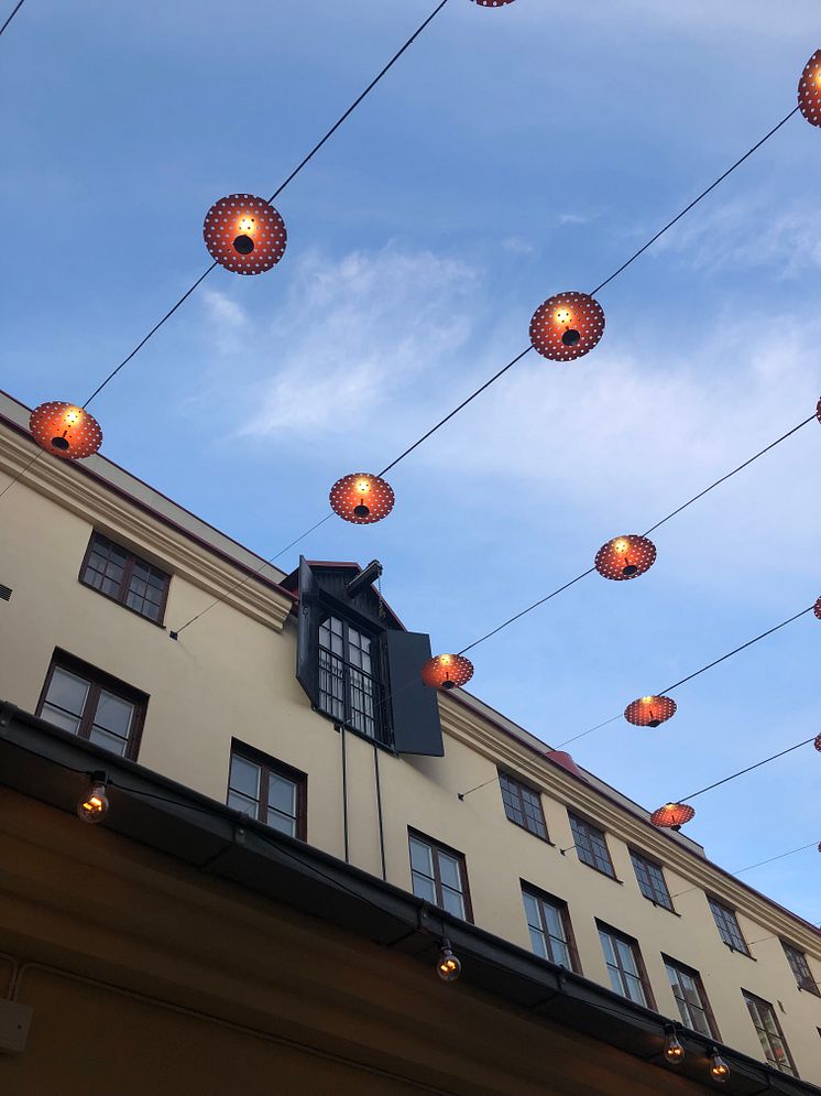 Victoriagården himmel