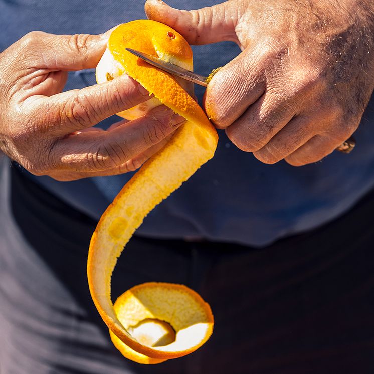 Martini Fiero Orange Peel