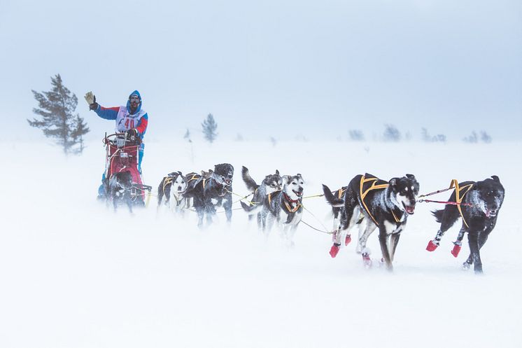 Femundløpet inntar Trysil