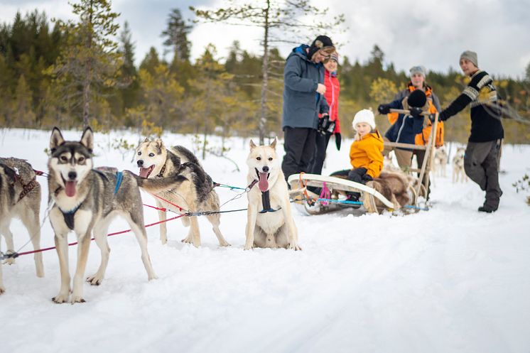 Hundspann Dalarna