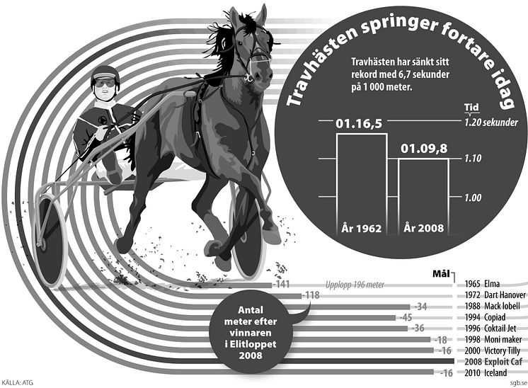 Elitloppet Grafik - Hastighet 4sp-svartvit-JPG