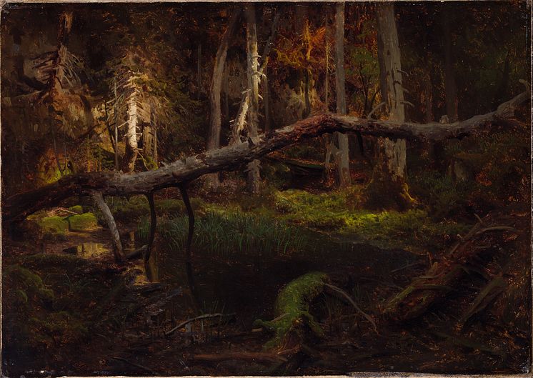 Eventyrrommet. August Cappelen, Skoginteriør, ant. 1851