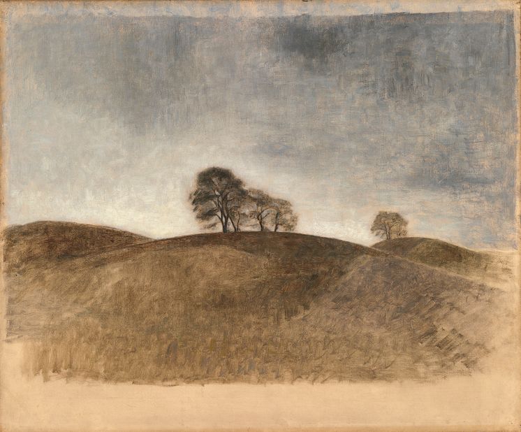 Vilhelm Hammershøi: Landskab fra Dunkebakke, Frederiksværk (1904)