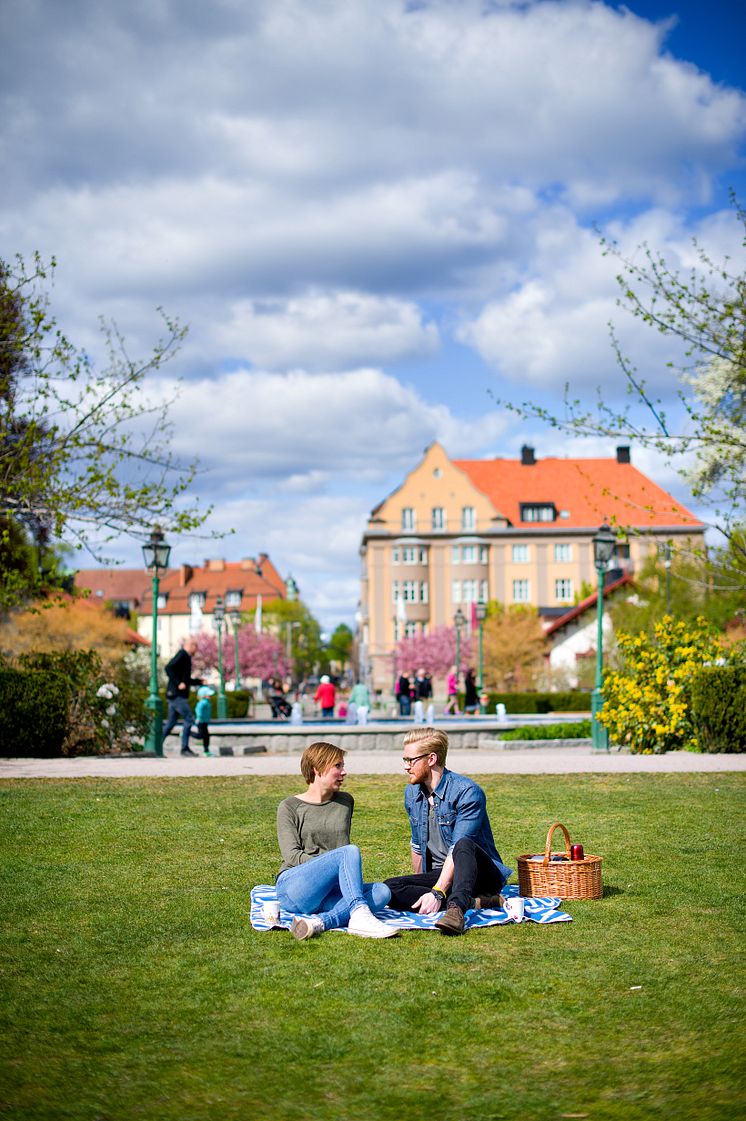 Fika i Östergötland