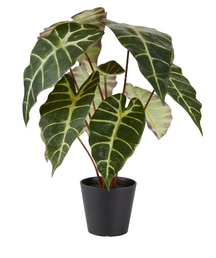 Kunstig plante MARIUS Ø38xH42cm