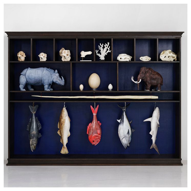 Mark Dion, Utdöendets kabinett (The Extinction Cabinet), 2021. Courtesy In Situ – Fabienne Leclerc gallery, Grand Paris 1x1