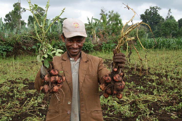 SLU Global. Harvest2.