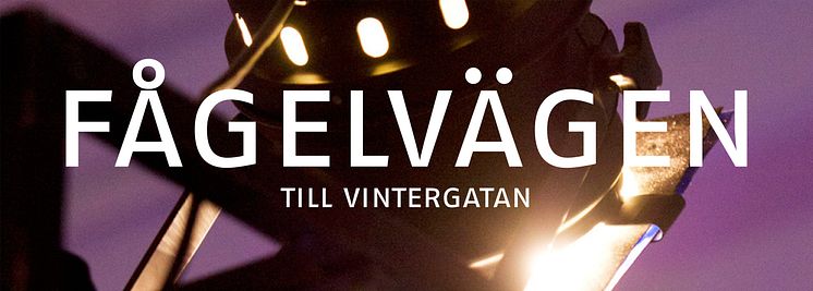 Fågelvägen till Vintergatan