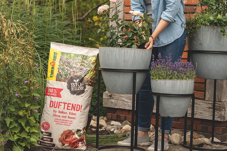 Floragard_Duftend_Gartenambiente
