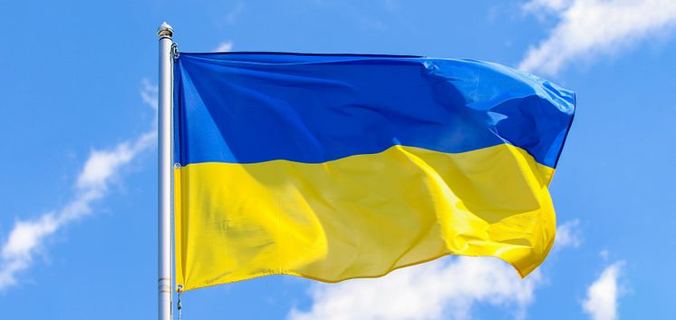 Ukrainian Flag