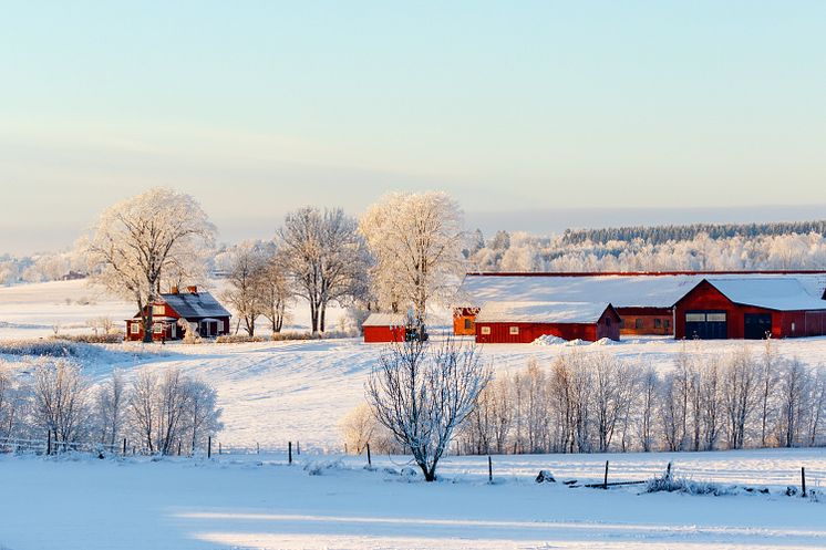 bondgard-i-ett-vinter-landskap.jpg