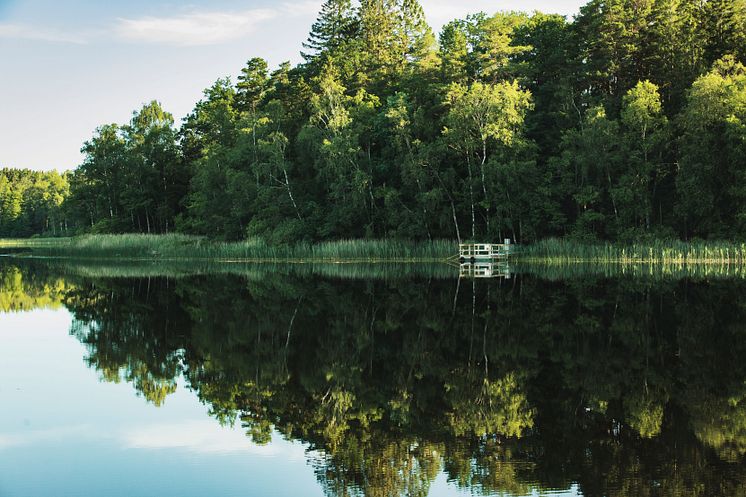 Åkulla Bokskogar_Foto Alexander Hall