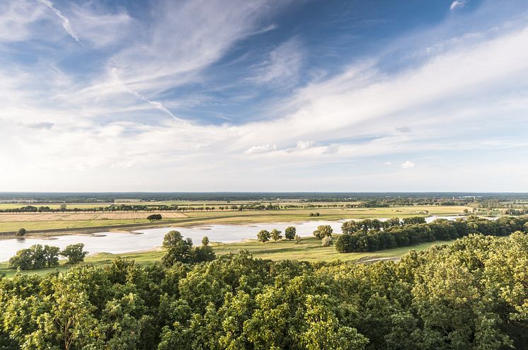 Elbe bei Lenzen