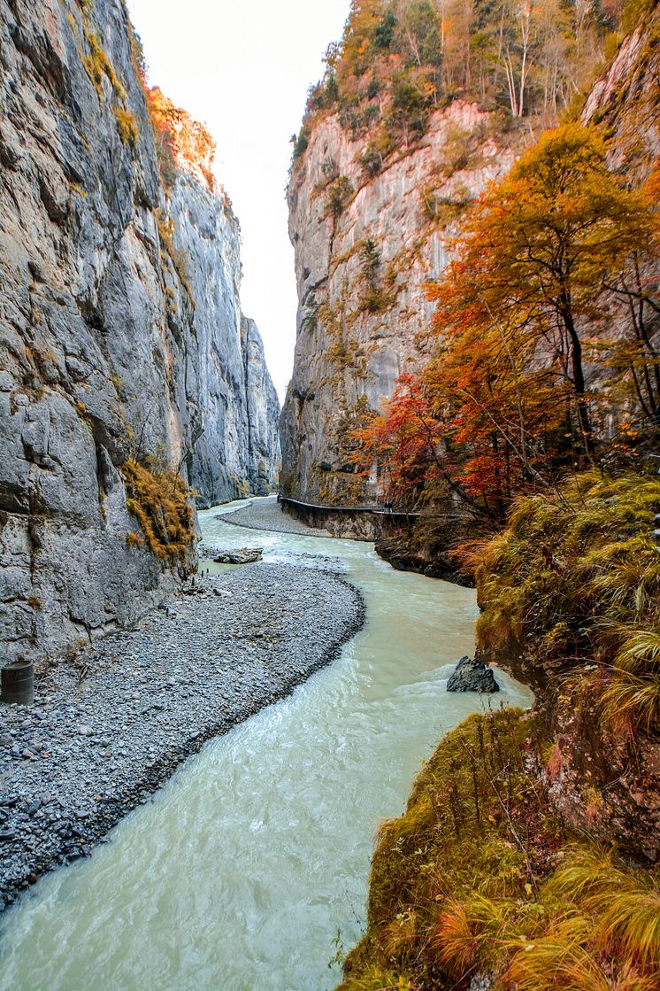 Aareschlucht.JPG