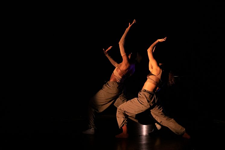 Company Nicolas Huchard - The barefoot diva