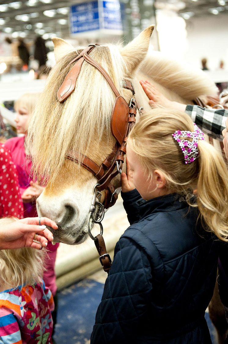 På EuroHorse kan man klappa och hälsa på hästerna vilket är en hit för alla barn.