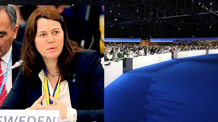 Åsa Romson klimatmöte Paris 2015.jpg