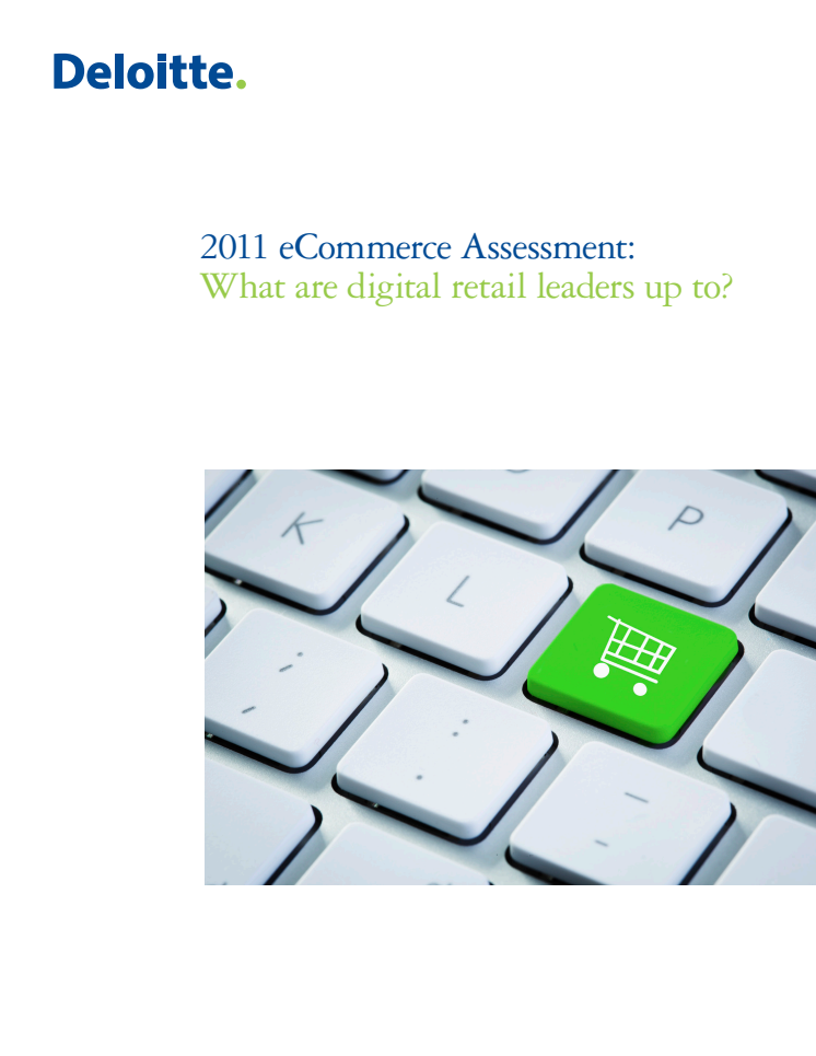 2011 eCommerce Assessment