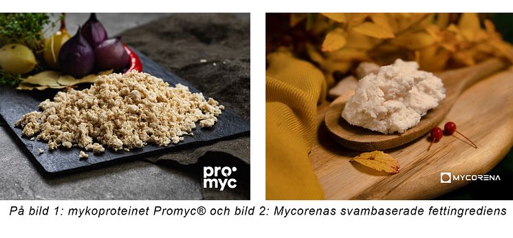 mycorena bilder.jpg