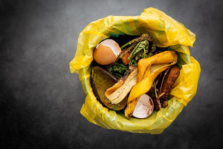 organic-food-wastes