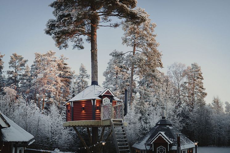 The Mangévie tree house