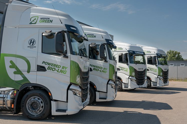 IVECO S-WAY- Hegelman