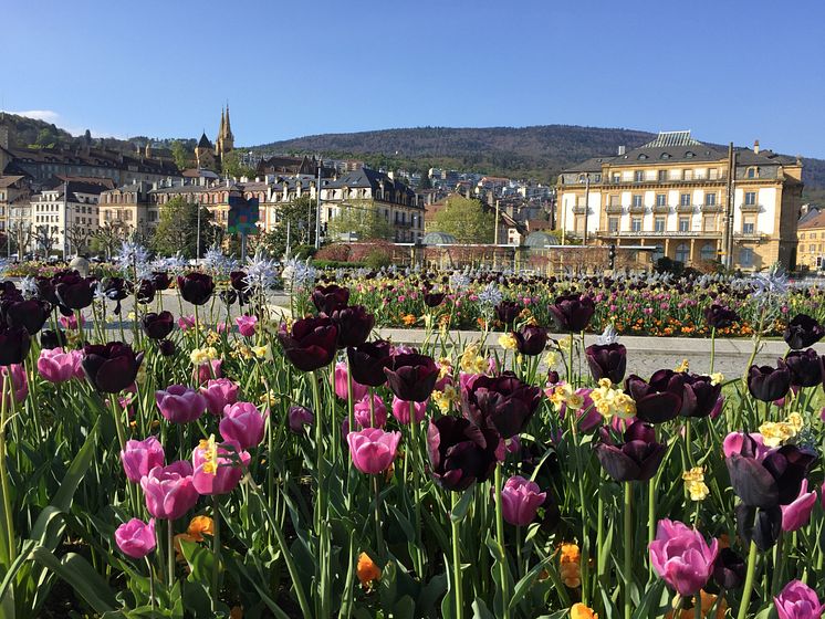 ST_Neuchâtel-Esplanade-du-Mont-Blanc_45104