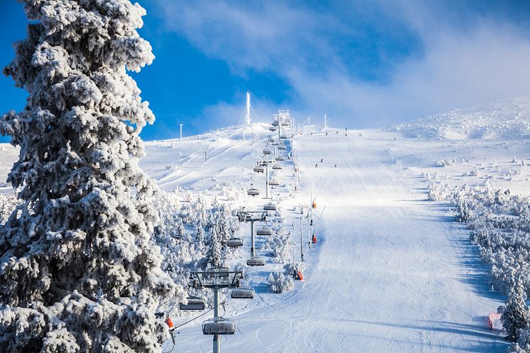 Snösäker skidåkning i januari