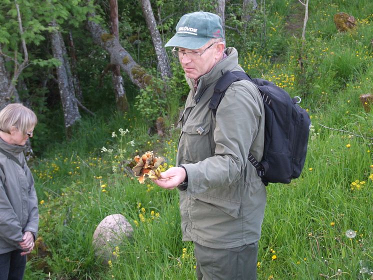 Ingvar Fredriksson