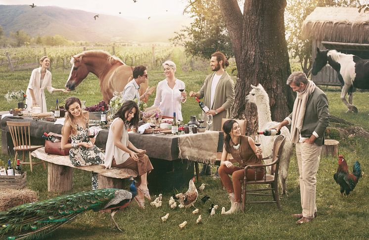 Emiliana Organic Vineyards picnic