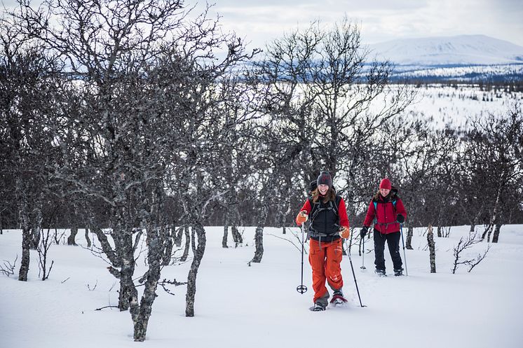 Snöskovandring