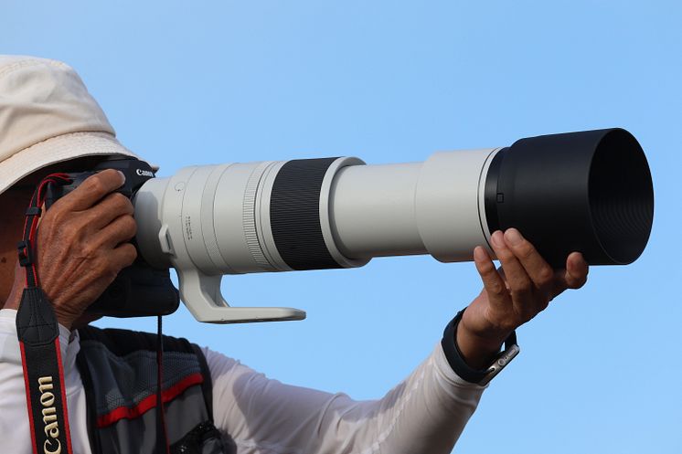 Canon_RF 200-800mm F6.3-9 IS USM_Lifestyle-1A6A1751