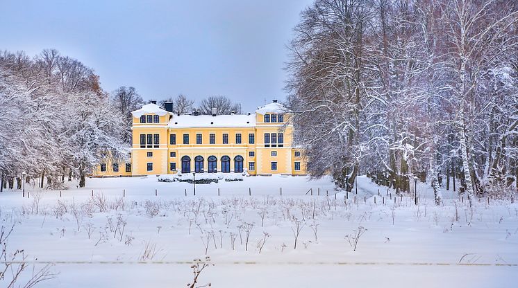 Slottet vintertid