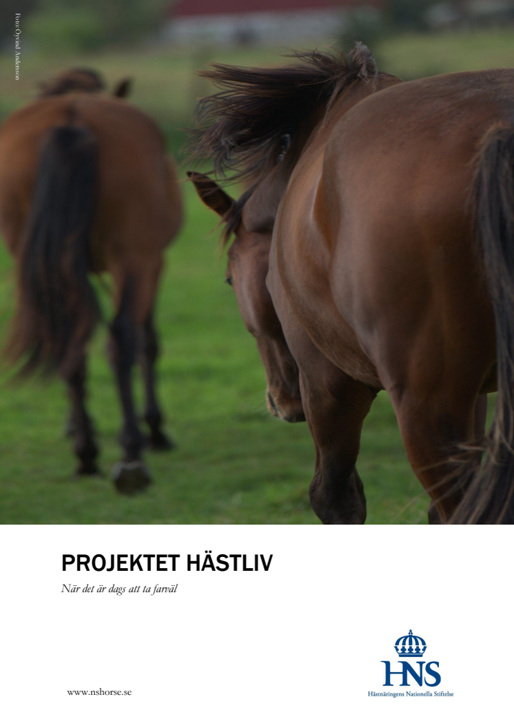 Rapport från projektet Hästliv