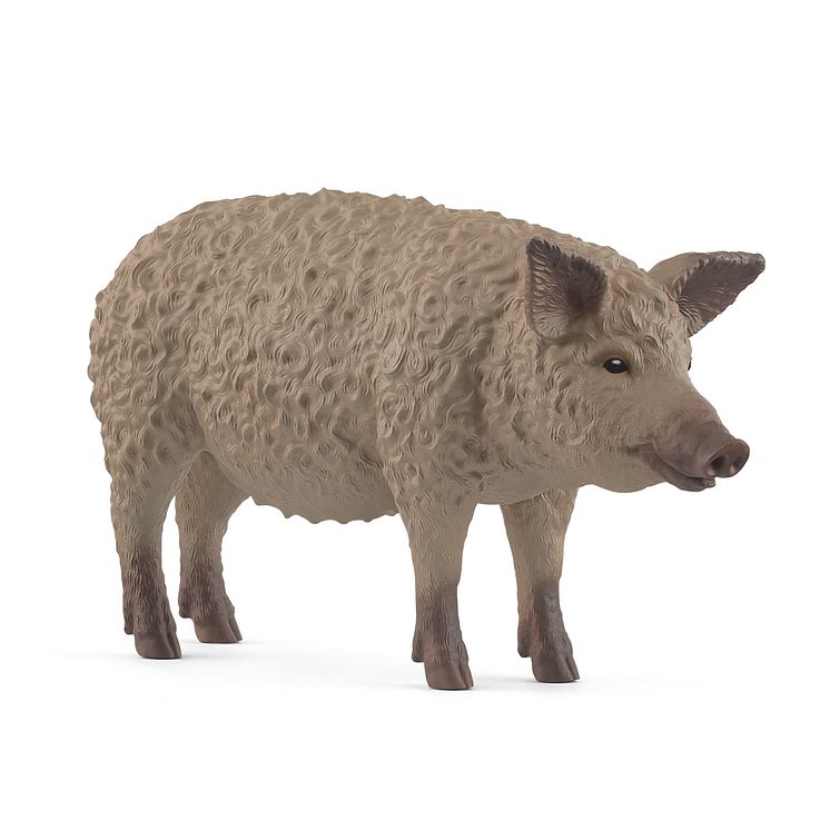 14892_Farm World_Mangalica Pig_(c)schleich®