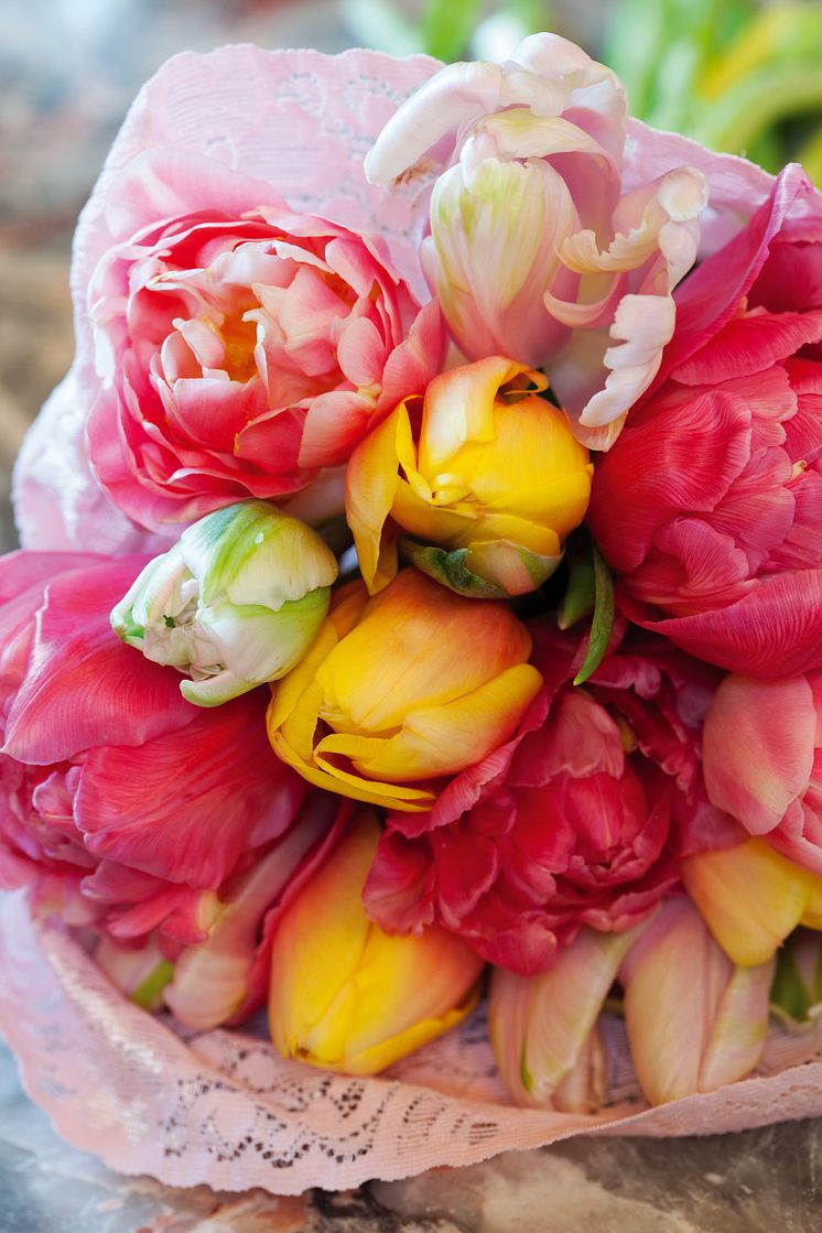 Blomsterlökstrenden Odd Romance till Alla hjärtans dag