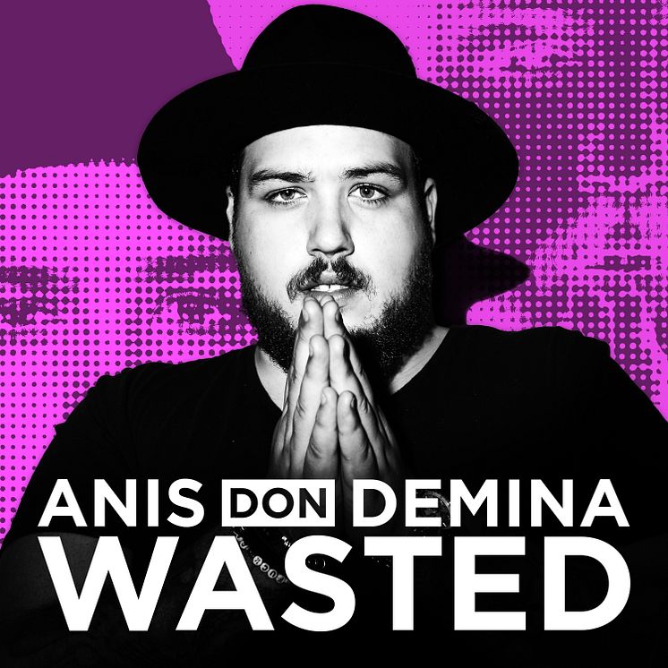 Anis_Don_Demina_Wasted_Omslag