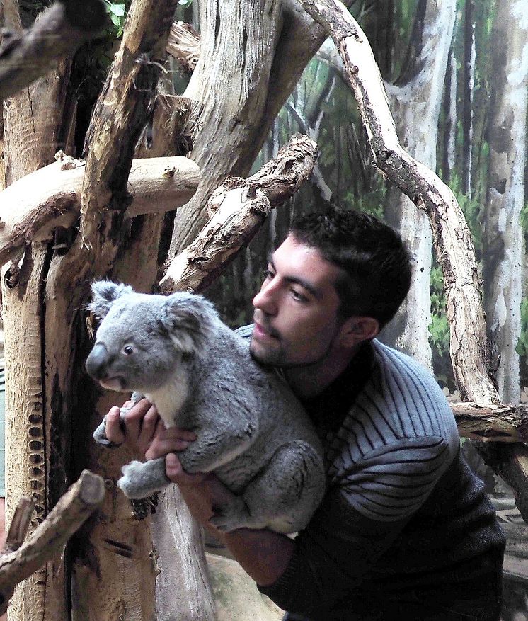 Tinaroo und sein Pfleger Tom Collins beim Einzug ins Koala-Haus